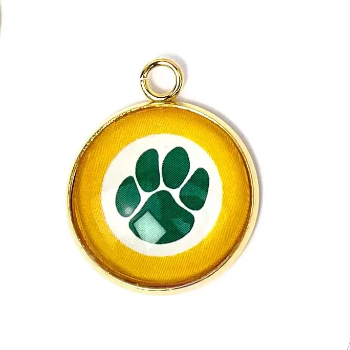 Ashwaubenon Jaguars Personalized Bangle, Pendant Necklaces, Jewelry Making Charm