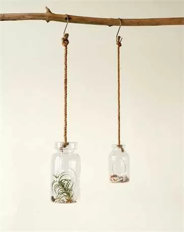 Glass Hanging Terrarium with Jute Rope