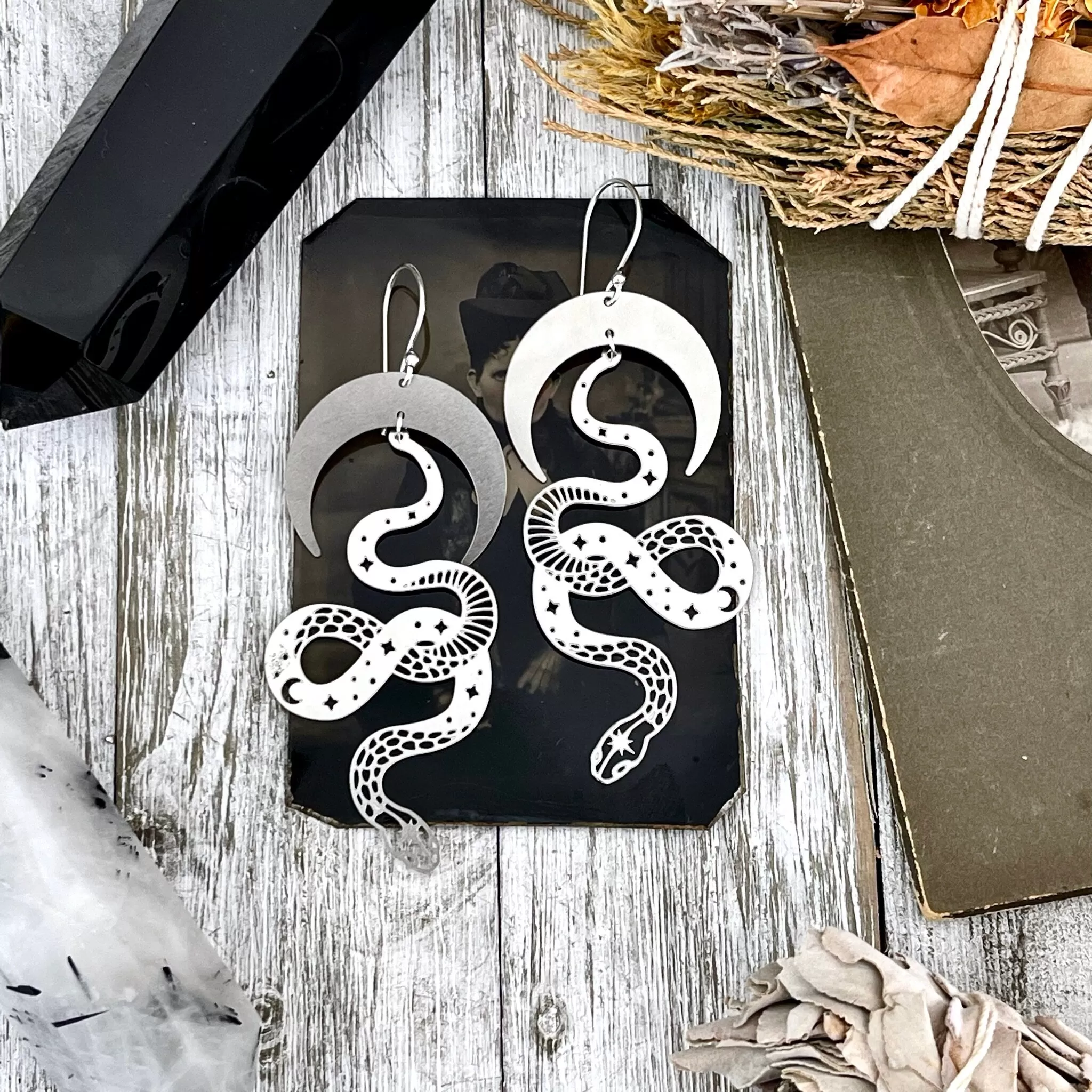 Snake and Moon Earrings Sterling Silver & Stainless Steel Earrings/ Moon Earrings